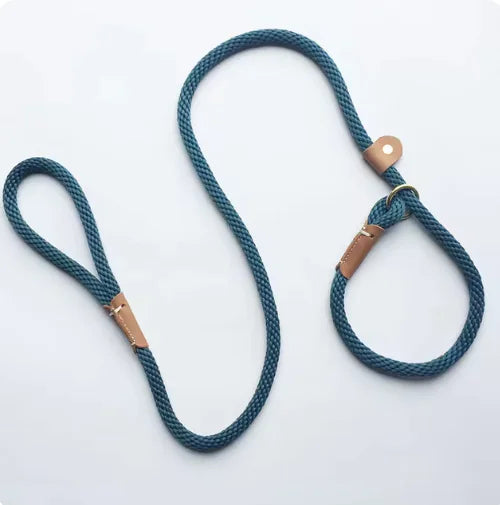 Everyday Walk Leash
