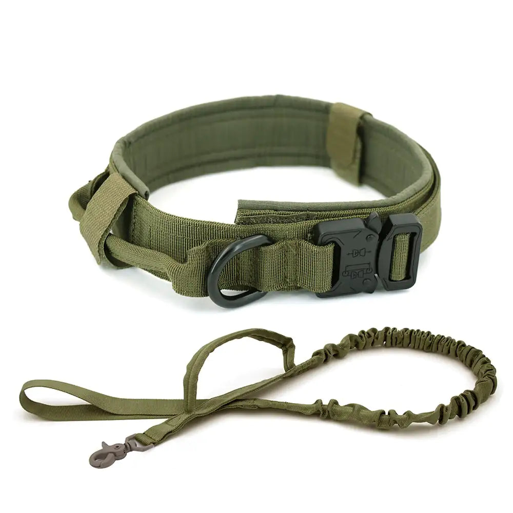 Everyday Comfort Collar