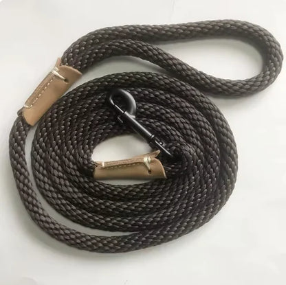 Everyday Walk Leash