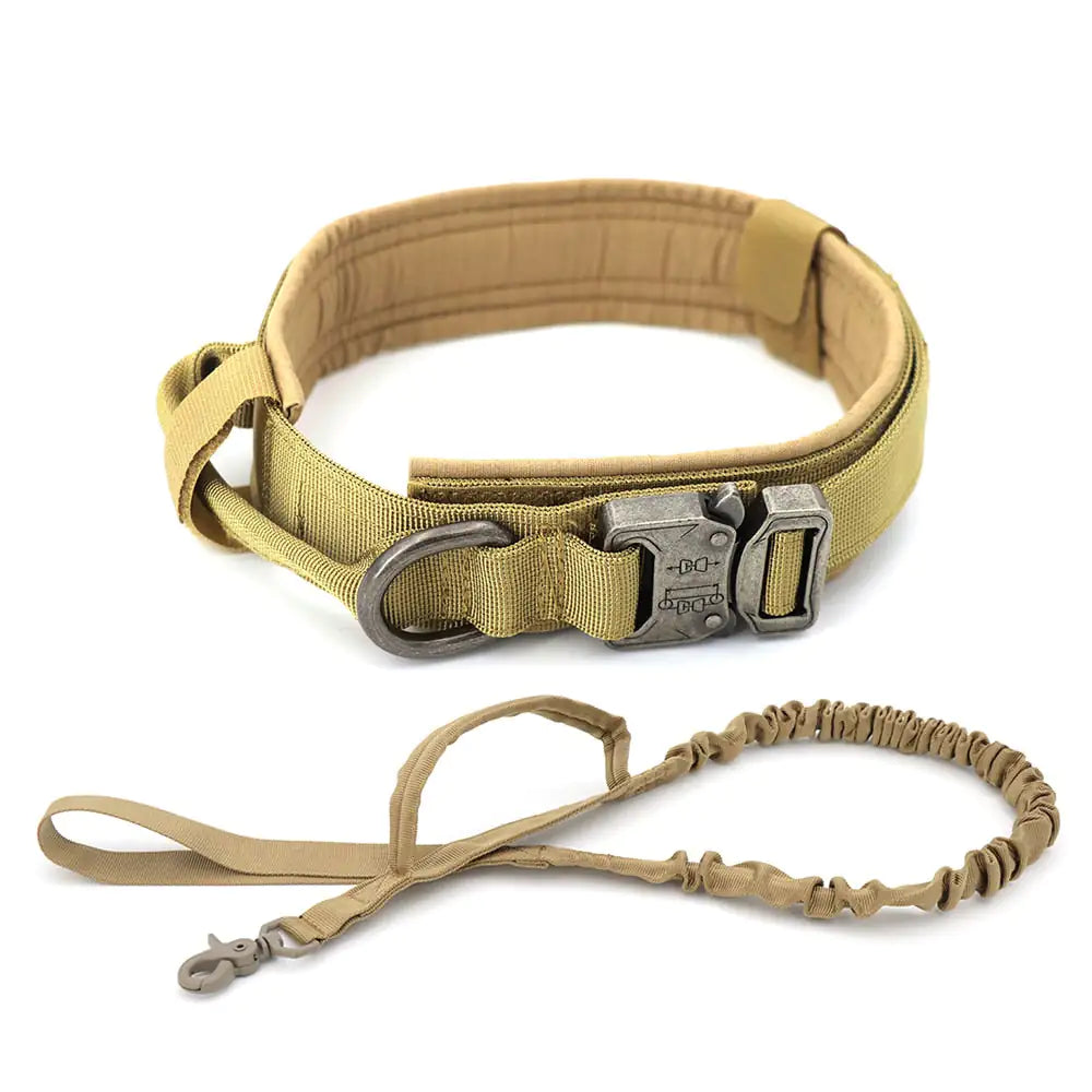 Everyday Comfort Collar