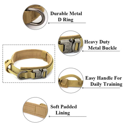 Everyday Comfort Collar