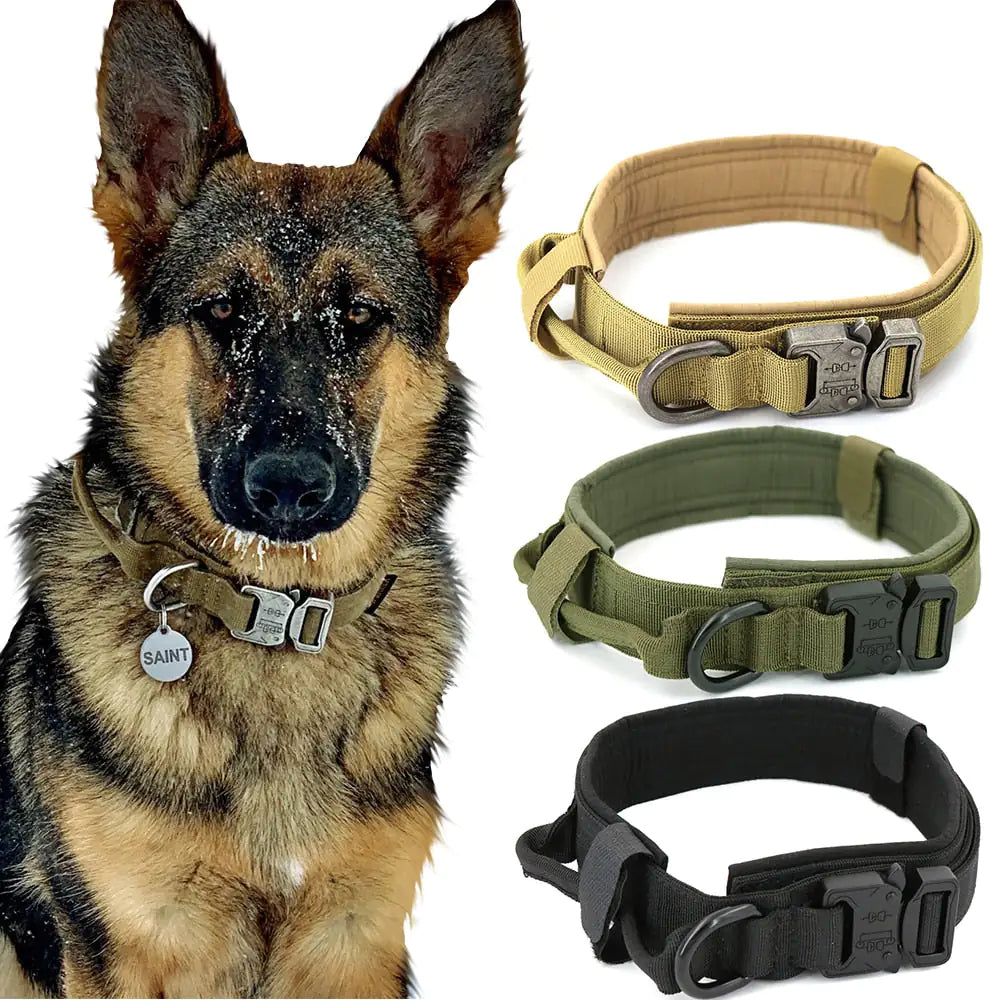 Everyday Comfort Collar