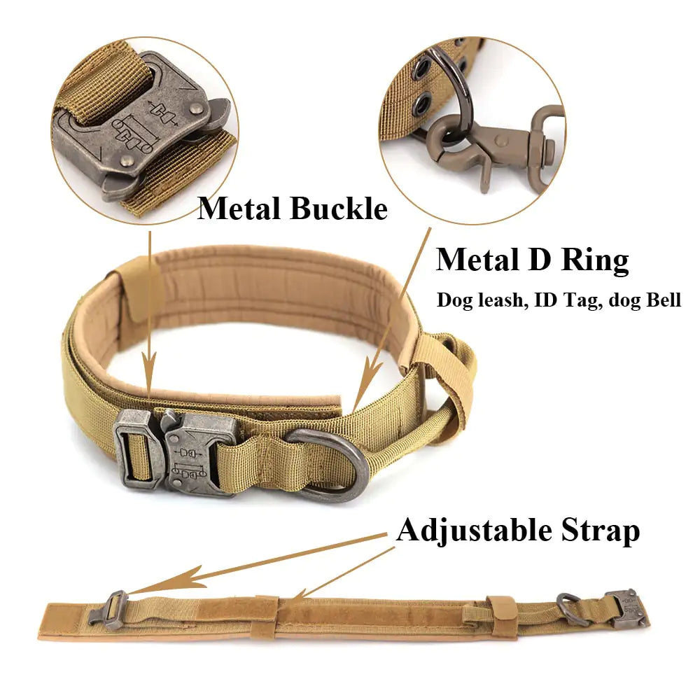 Everyday Comfort Collar