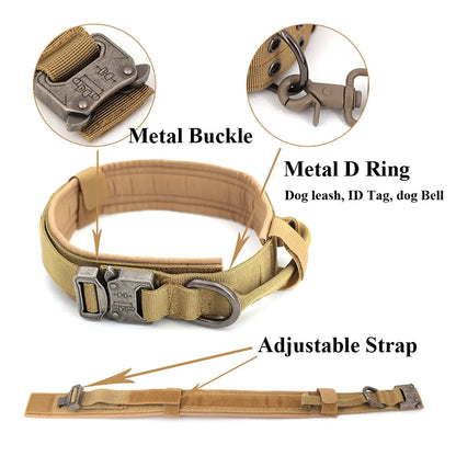 Everyday Comfort Collar