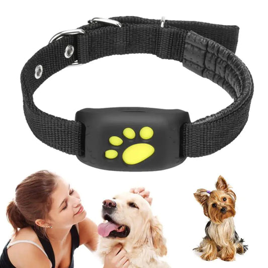 Smart GPS Tracker Collar