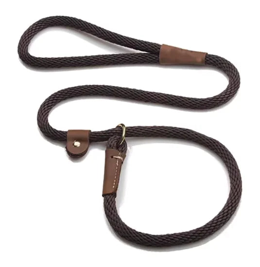 Everyday Walk Leash
