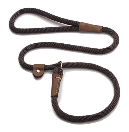 Everyday Walk Leash
