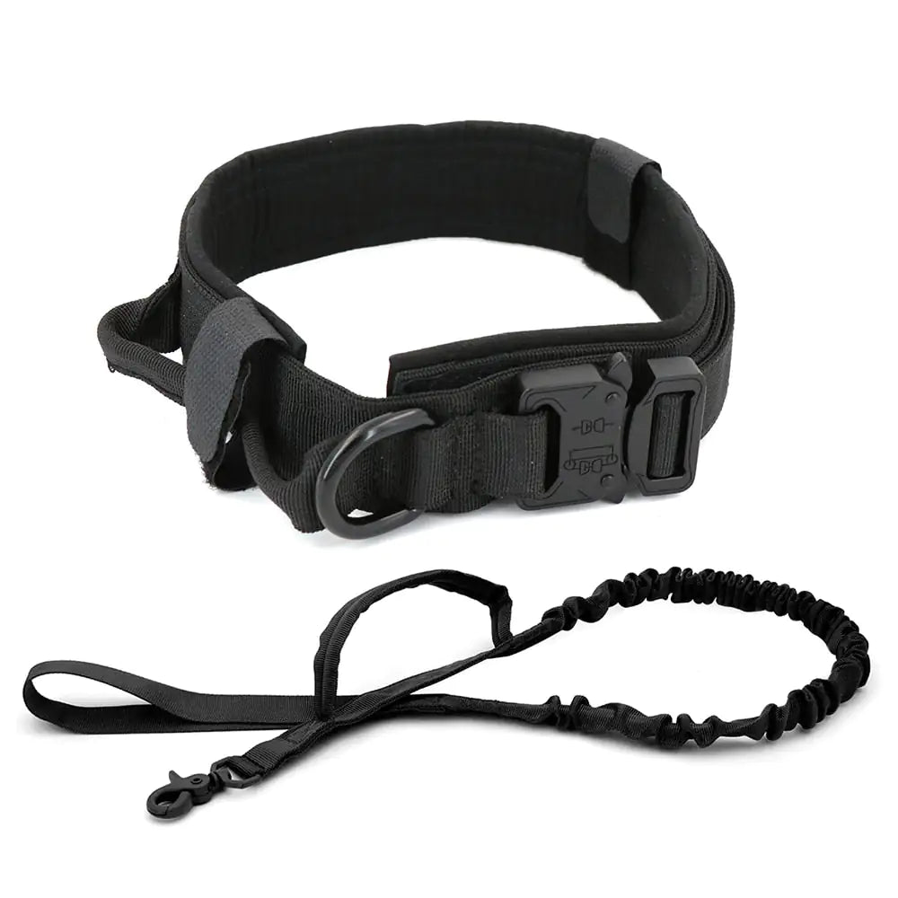 Everyday Comfort Collar