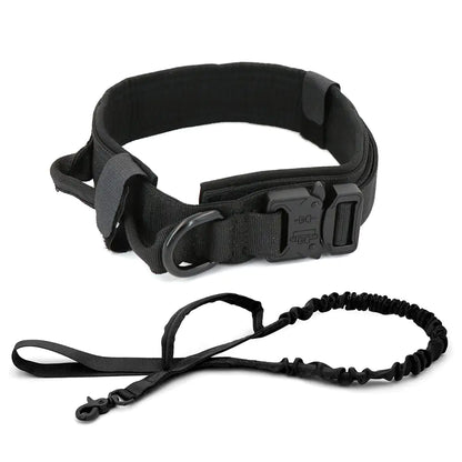 Everyday Comfort Collar