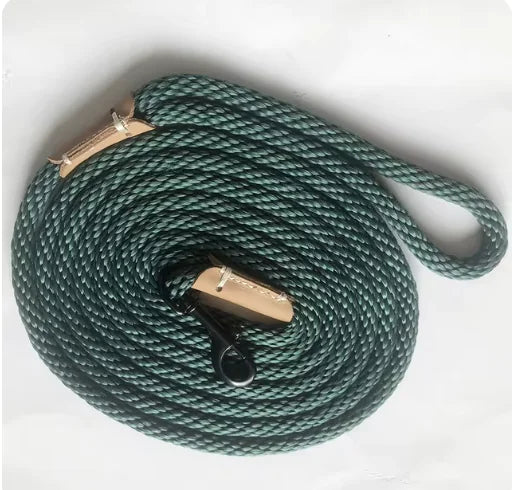 Everyday Walk Leash