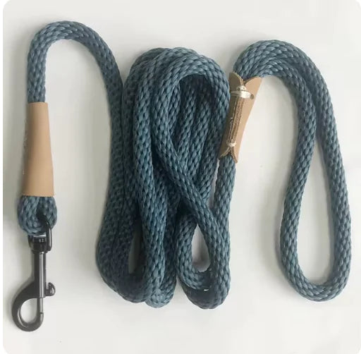 Everyday Walk Leash