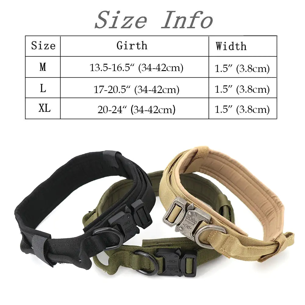 Everyday Comfort Collar