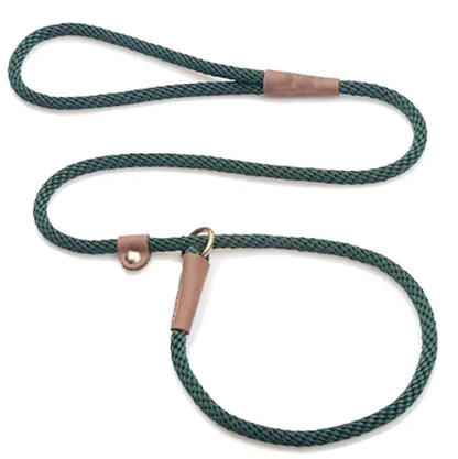 Everyday Walk Leash